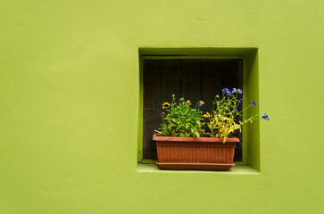 Una finestra di una casa colorata del borgo di Ghizzano in provincia di Pisa, in Toscana con davanti un vaso di fiori