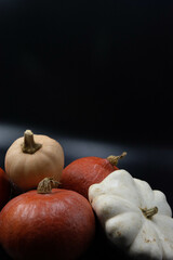 Various squashes, butternut, pumpkins, patty pan squash, studio shot, black background