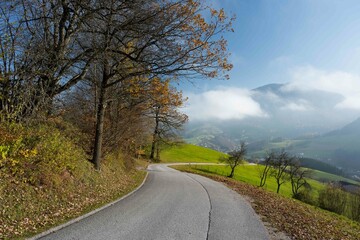 Fototapeta premium Autumm the bright colors in the forest