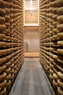 Comte cheese in maturing cellar