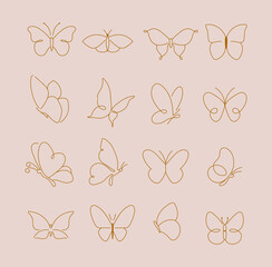 Set of line art butterfly illustration