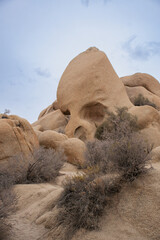 skull rock in the desert