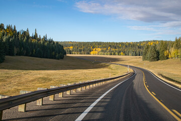 a curved road with yellow landscape