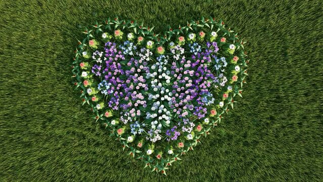 Cinematic video animation from above a flower arrangement in the form of a love symbol