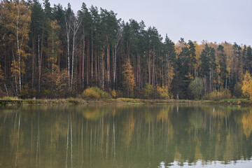 Pond surrounded by yellow trees in afternoon.