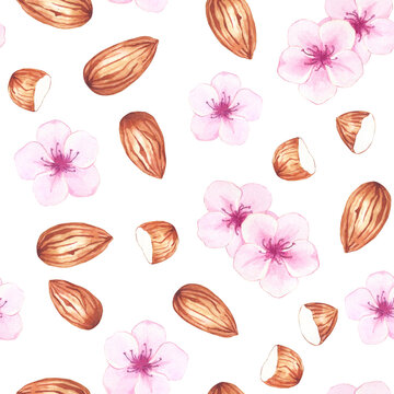 Seamless pattern with watercolor almond and blooms. Hand drawn pink flowers and nuts. Background for packaging design, label, web.