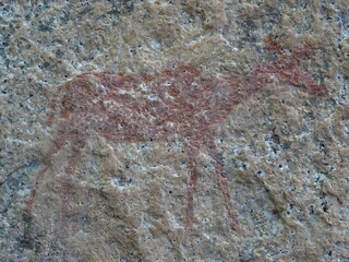 peintures rupestres Afrique du Sud
