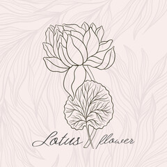 Lotus flower outline hnd drawn style. Asian national symbol plant. Vintage sketch design.