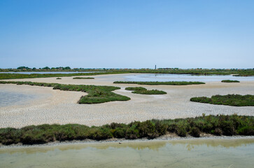 La terra asciutta e spaccata nel caratteristico paesaggio della laguna nord di Venezia vicino a Lio Piccolo in una giornata primaverile di sole