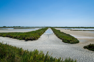 La terra asciutta e spaccata nel caratteristico paesaggio della laguna nord di Venezia vicino a Lio...