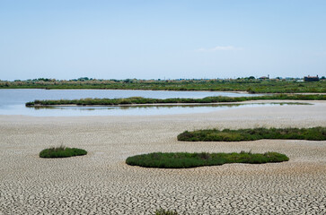 La terra asciutta e spaccata nel caratteristico paesaggio della laguna nord di Venezia verso Lio...