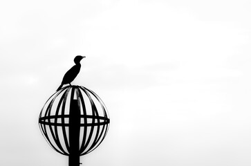 Un cormorano osserva il paesaggio in piedi su un palo di segnalazione a Venezia