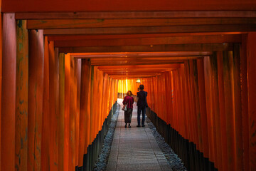 Fototapeta premium Fushimi Inari Shrine in Kyoto at Sunset