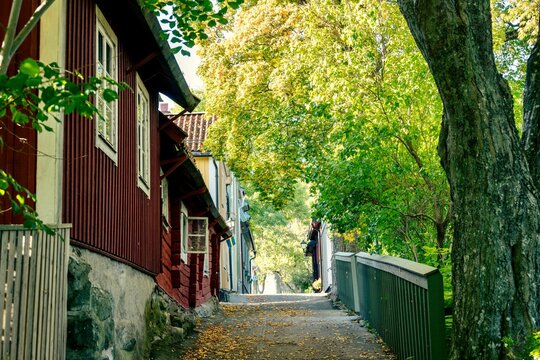 Walkway next to a countryside house surrounded by beautiful green trees