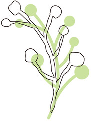 ナチュラルな植物のイラスト