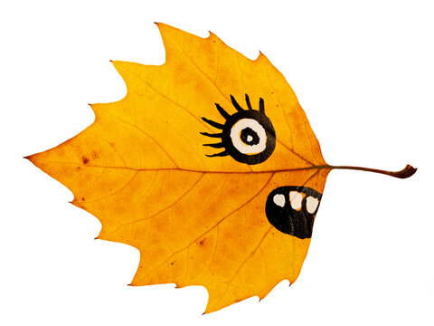 happy face on autumnal leaf - activity for kids