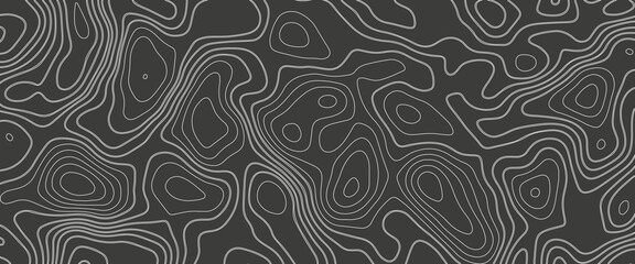 Abstract topographic map background. Abstract topographic map background. Imitation of a geographical map. Geographic map conceptual design. Elegant background for presentations.