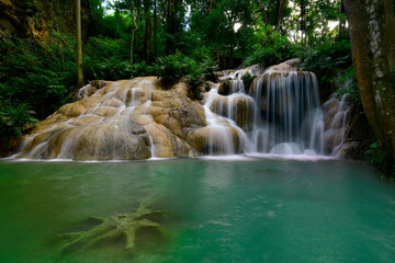 A beautiful Waterfall in the green forest with green water flowing on the step of rocks and tree roots. in forest Thailand.