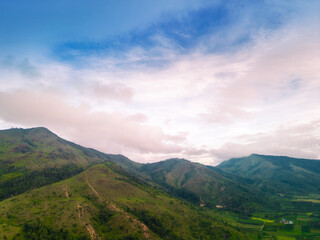 Aerial view of Bien Ho Che or Bien Ho tea fields, Gia Lai province, Vietnam. Workers of the tea farm are harvesting tea leaves in the early morning.