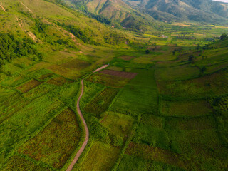 Aerial view of Bien Ho Che or Bien Ho tea fields, Gia Lai province, Vietnam. Workers of the tea...