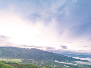 Aerial view of Bien Ho Che or Bien Ho tea fields, Gia Lai province, Vietnam. Workers of the tea farm are harvesting tea leaves in the early morning.