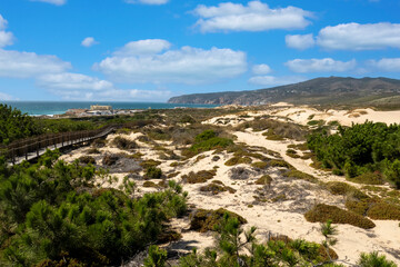 Guincho wooden pathway through the sand dunes - obrazy, fototapety, plakaty