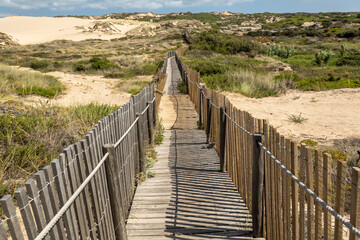 Fototapeta premium Guincho wooden pathway through the sand dunes