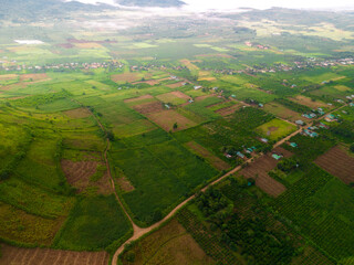 Aerial view of Bien Ho Che or Bien Ho tea fields, Gia Lai province, Vietnam. Workers of the tea...