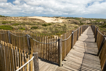 Obraz premium Guincho wooden pathway through the sand dunes
