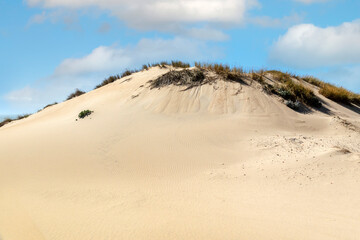 Fototapeta na wymiar Guincho beach sand dunes