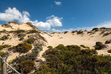 Guincho beach sand dunes