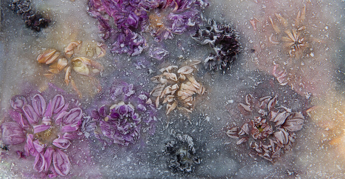 abstract seamless wallpaper of frozen summer flowers in ice in winter
