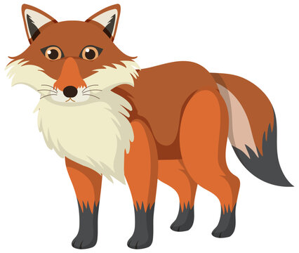 Cute fox in flat cartoon style