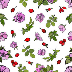 Seamless pattern with wild rose branch, leaf, flower and berry. Collection of dog rose: branch of roseship, dog rose berries, flowers and leaves. Cosmetic and medical plant.