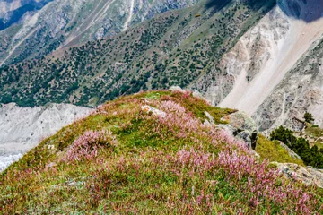 Papier Peint photo Nanga Parbat Beautiful Pink Flowers Mountains Landscape Fairy Meadows Nanga Parbat  