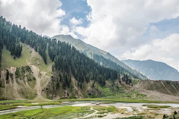 Crédence de cuisine en verre imprimé Nanga Parbat Fine Trees forest Landscape Naran Jhalkand 