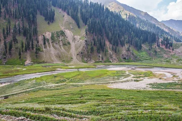 Crédence de cuisine en verre imprimé Nanga Parbat Fine Trees forest Landscape Naran Jhalkand 