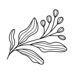 Doodle line art branch with leaves and berries. Hand drawn twig plant with flower buds, linear garden floral elements