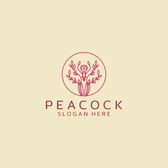 peacock logo icon design templet and vector