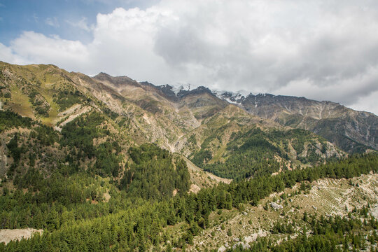 Fairy Meadows Nanga Parbat Beautiful Fine Trees forest Landscape 
