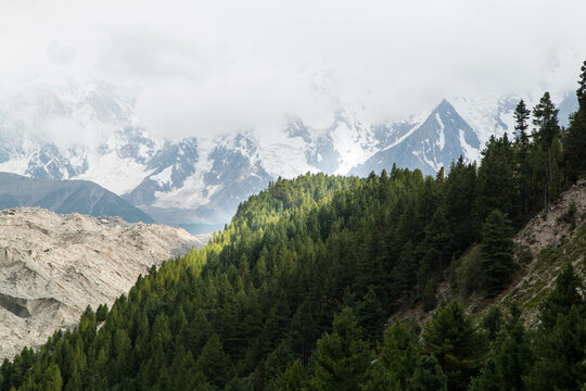 Fairy Meadows Nanga Parbat Beautiful Fine Trees forest Landscape 
