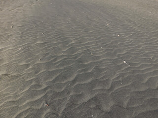 solitaria e scenica vista della spiaggia in inverno