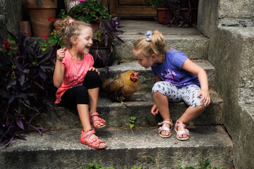 Two happy friends sitting on steps with a pet chicken, Poland