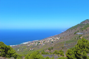 Fototapeta na wymiar Viñedos de Fuencaliente, La Palma