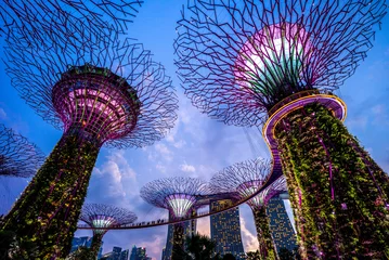 Foto op Plexiglas Landscape of Gardens by the Bay in singapore © Richie Chan