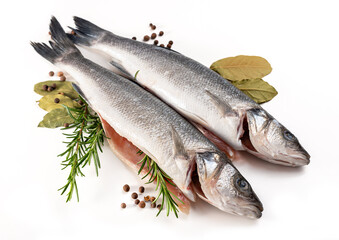 Sea bass fish. Two peeled raw sea bass, spices and rosemary branches on a white background