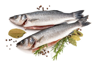 Sea bass fish. Two peeled raw sea bass, spices and rosemary branches on a white background