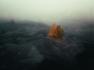 Aerial photo of moon landscape and trees on foggy day
