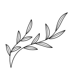 Doodle line art branch with leaves. Hand drawn twig, monochrome linear garden floral elements