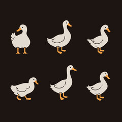 Domestic fowl. Vector contour illustration of duck.